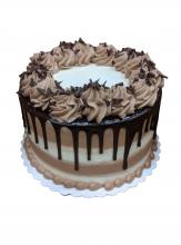 Tiramisu Dessert Cake